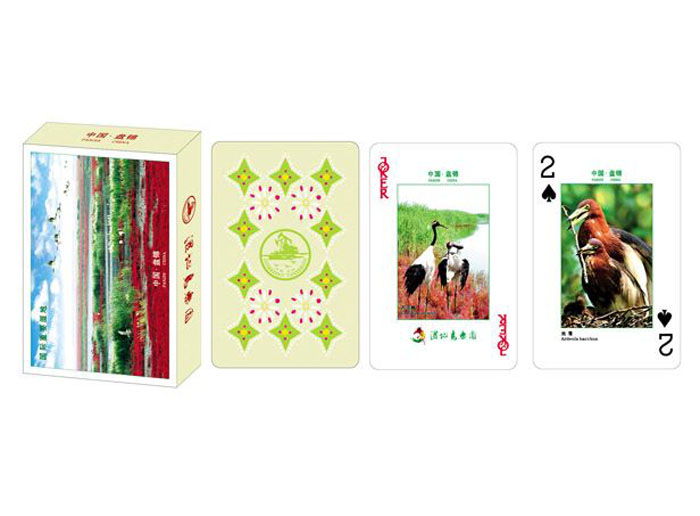 ����ס����